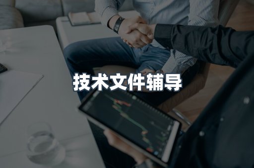 技术文件辅导