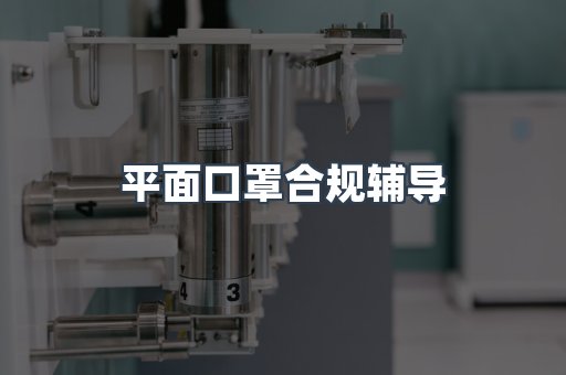 平面口罩合规辅导